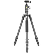 Vanguard VESTA GO 204CB Carbon Fibre Tripod with BH-45 Ball Head