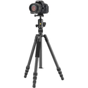 Vanguard VESTA GO 264CB Carbon Fibre Tripod with BH-60 Ball Head