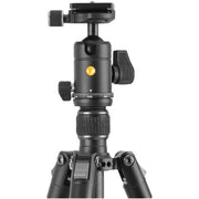 Vanguard VESTA GO 264CB Carbon Fibre Tripod with BH-60 Ball Head