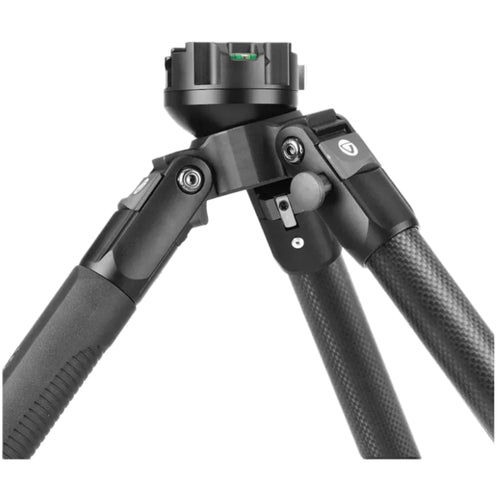 Vanguard Endeavor L 263CPR Carbon Tripod ARCA with PIC Rail