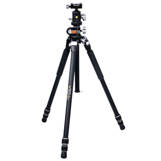 Vanguard VEO 3+ 263AB Pro Tripod / Monopod with BH-160 Ball Head
