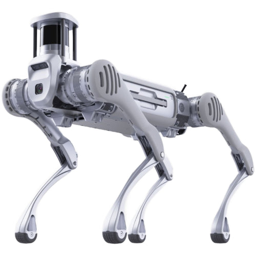 Unitree B2 Quadruped Robotic Dog