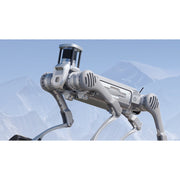 Unitree B2 Quadruped Robotic Dog
