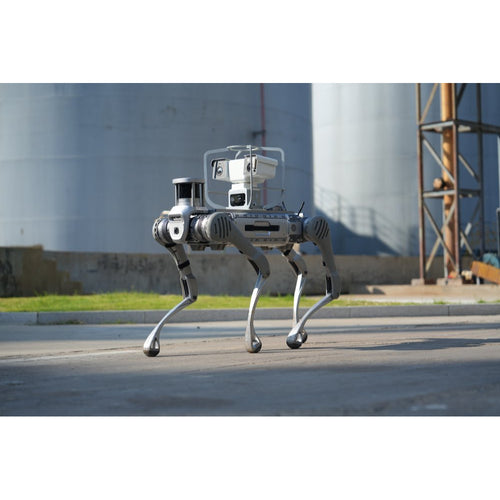 Unitree B2 Quadruped Robotic Dog