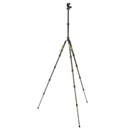 3 Legged Thing - Punks Brian 2.0 Tripod Kit with AirHed Neo 2.0 Twist Lock QR Ballhead (Black/Green)