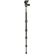 3 Legged Thing - Punks Brian 2.0 Tripod Kit with AirHed Neo 2.0 Twist Lock QR Ballhead (Black/Green)
