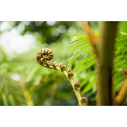 Tamron 16-50mm F2.8 A (Model B091) Lens