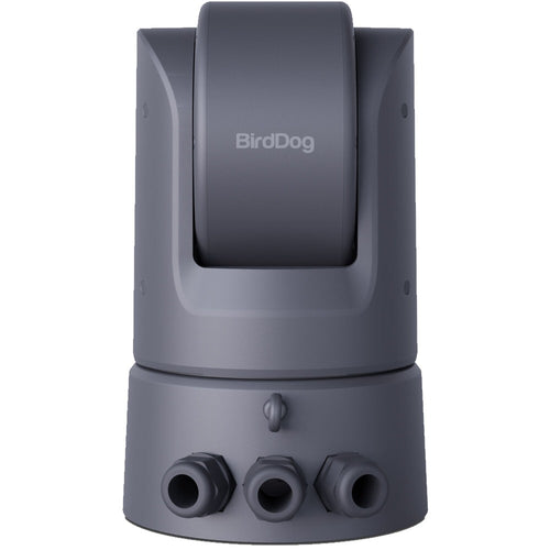BirdDog O4 Outdoor PTZ Camera with 30x Optical Zoom