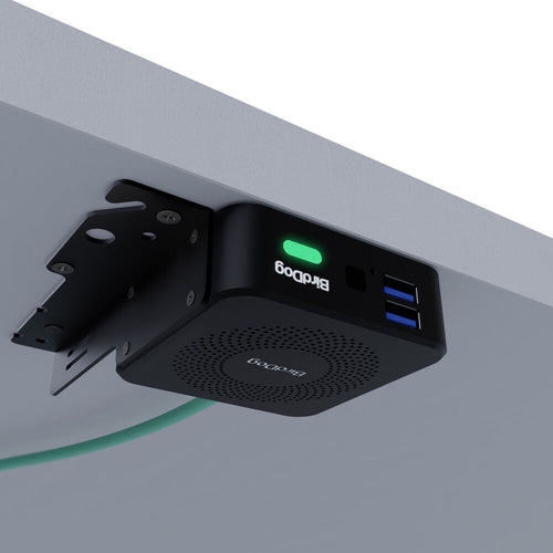 BirdDog Play Pro 4K NDI Player