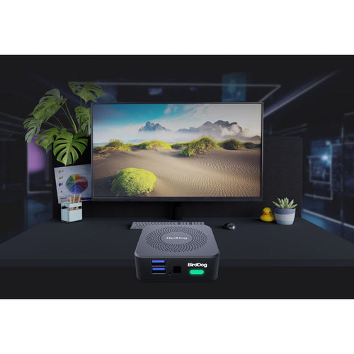 BirdDog Play Pro 4K NDI Player