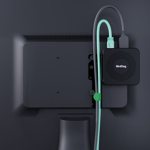 BirdDog Play Pro 4K NDI Player