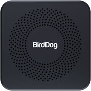 BirdDog Play Pro 4K NDI Player