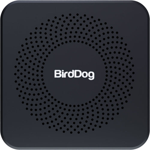 BirdDog Play Pro 4K NDI Player