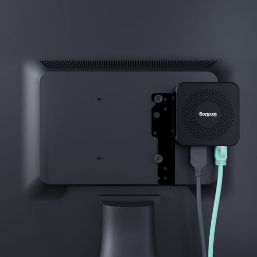 BirdDog Play Pro 4K NDI Player