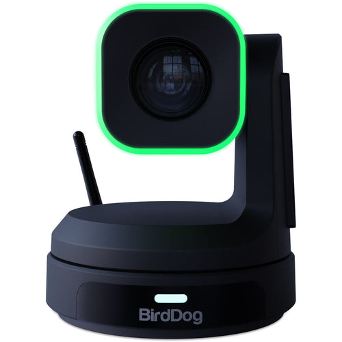 BirdDog 3x BDX1 (Black) and 1x BDKBD Keyboard Bundle (Ships In BDX1CASE)