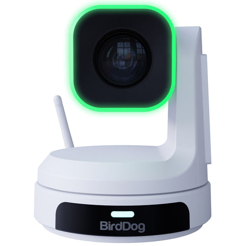 BirdDog 3x BDX1 (White) and 1x BDKBD Keyboard Bundle (Ships In BDX1CASE)