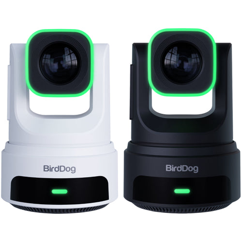 BirdDog X4E Ultra PTZ Camera with AI Tracking