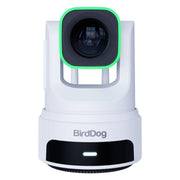 BirdDog 3x BDX4U (White) with 1x BDKBD Keyboard Combo