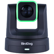 BirdDog 3x BDX5U (Black) + 1x BDKBD Keyboard Combo
