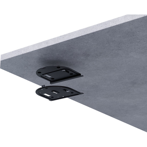 BirdDog Ceiling Mount for O4 PTZ