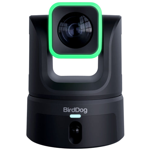 BirdDog XL Ultra PTZ Camera with 20x Optical Zoom & Secondary Built-In Panoramic Camera