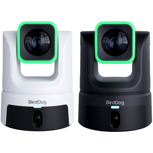 BirdDog XL Ultra PTZ Camera with 20x Optical Zoom & Secondary Built-In Panoramic Camera