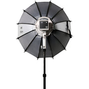 Harlowe Shallow Quick Release Softbox