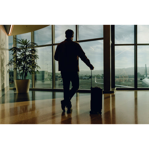 Peak Design Roller Pro Carry-On Luggage