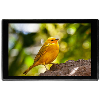 Portkeys HD7T - 7-Inch Touchscreen Monitor with Professional Tools