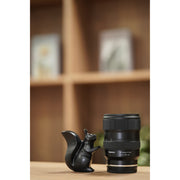 Tamron 16-30mm F/2.8 DiIII VXD G2 for Sony E