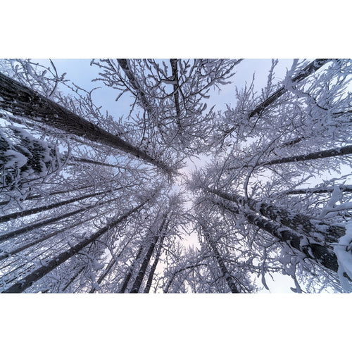 Tamron 12-20mm f/2.8 Ultra Wide Angle Lens