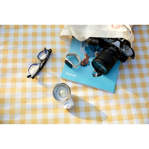 Godox Lux Elf Retro Camera Flash