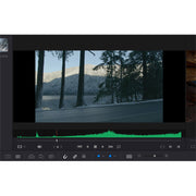 Blackmagic DaVinci Resolve Studio (Dongle)
