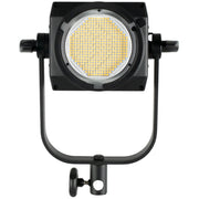 Nanlite FS-300B Twin Kit with light stands