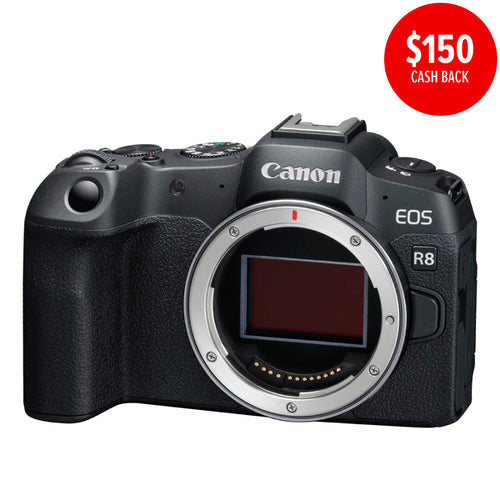 Canon EOS R8 Mirrorless Digital Camera - Body Only