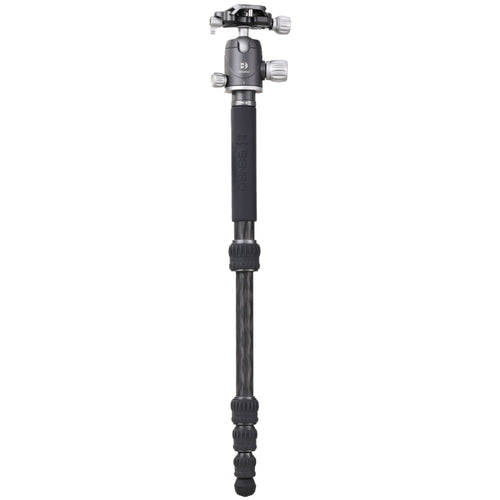 Benro Bat Zero Series Carbon Fiber Travel Tripod with VX20 Ball Head (55.31