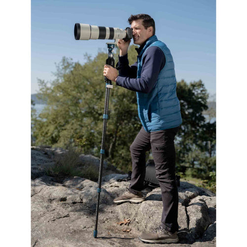 Benro MSD46C72 SupaDupa Carbon Fiber Monopod with Tilt Head (72