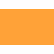 Superior Background 35 YOrange 2.72x11m