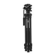 Benro T981 Photo and Video Tripod with BV3H Video Kit