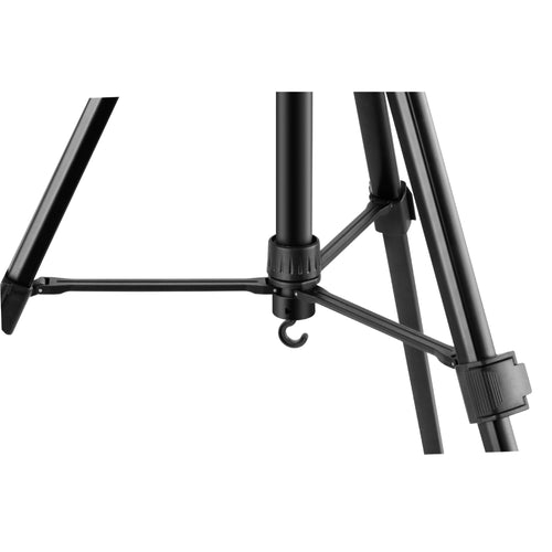 Benro T981 Photo and Video Tripod with BV3H Video Kit