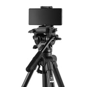 Benro T981 Photo and Video Tripod with BV3H Video Kit