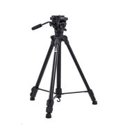 Benro T981 Photo and Video Tripod with BV3H Video Kit