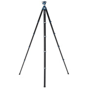 Benro CyanBird 2 Aluminium Tripod with G36PT Inverted Ball Head