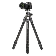 Benro Tortoise 34C, Carbon Fibre, 4 Section, Photo Tripod, Twist Lock, GX35 Ball Head