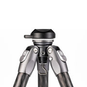 Benro Tortoise 34CLV with S6PRO Head, Carbon Fibre, Video Tripod Kit