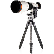 Benro TTOR35C Carbon Fiber Tripod with GH2F Folding Gimbal Head