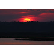 Panasonic Lumix S 100-500mm f/5-7.1 O.I.S Lens