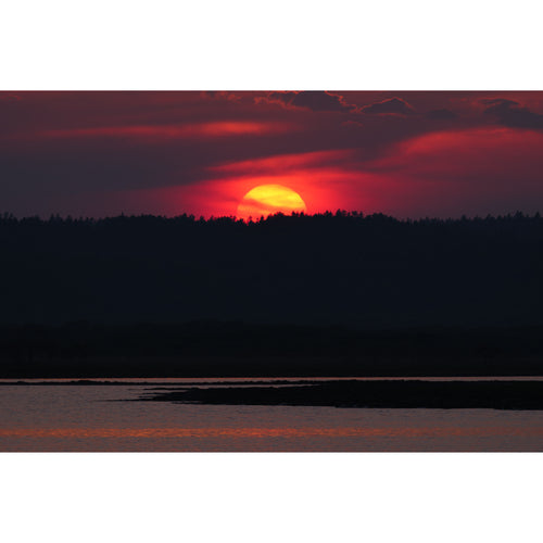 Panasonic Lumix S 100-500mm f/5-7.1 O.I.S Lens