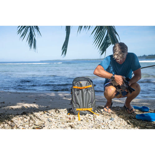 Lowepro Whistler 450 BP AW II (Grey)