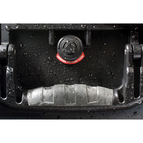 Pelican 1400NF Case